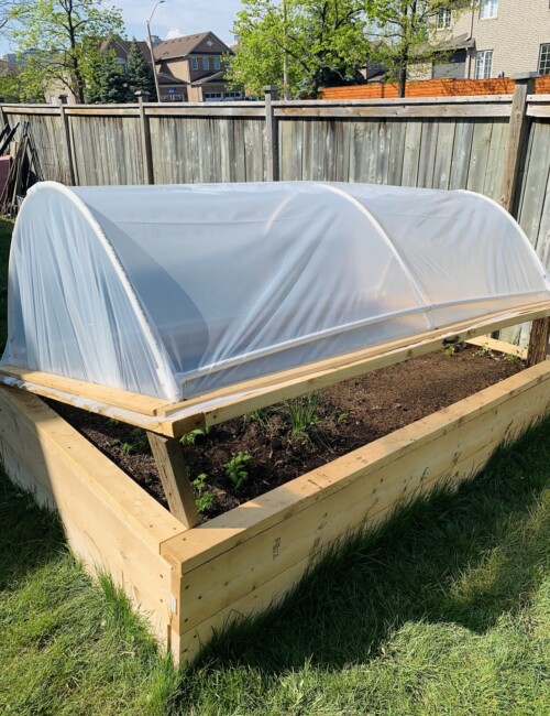 Homemade outdoor herb garden