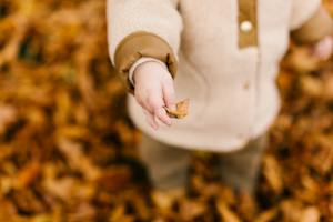 "A young child joyfully playing in a park, tossing up a pile of crisp autumn leaves.
